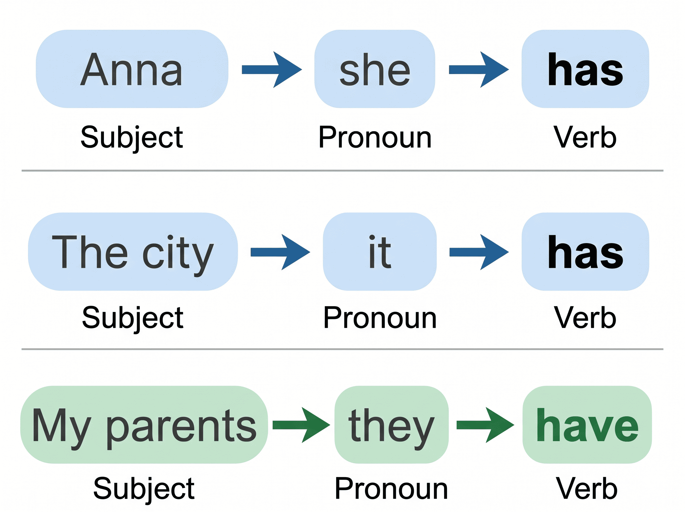 Diagram showing how to choose between have and has using pronoun substitution: Anna → she → has, the city → it → has, my parents → they → have