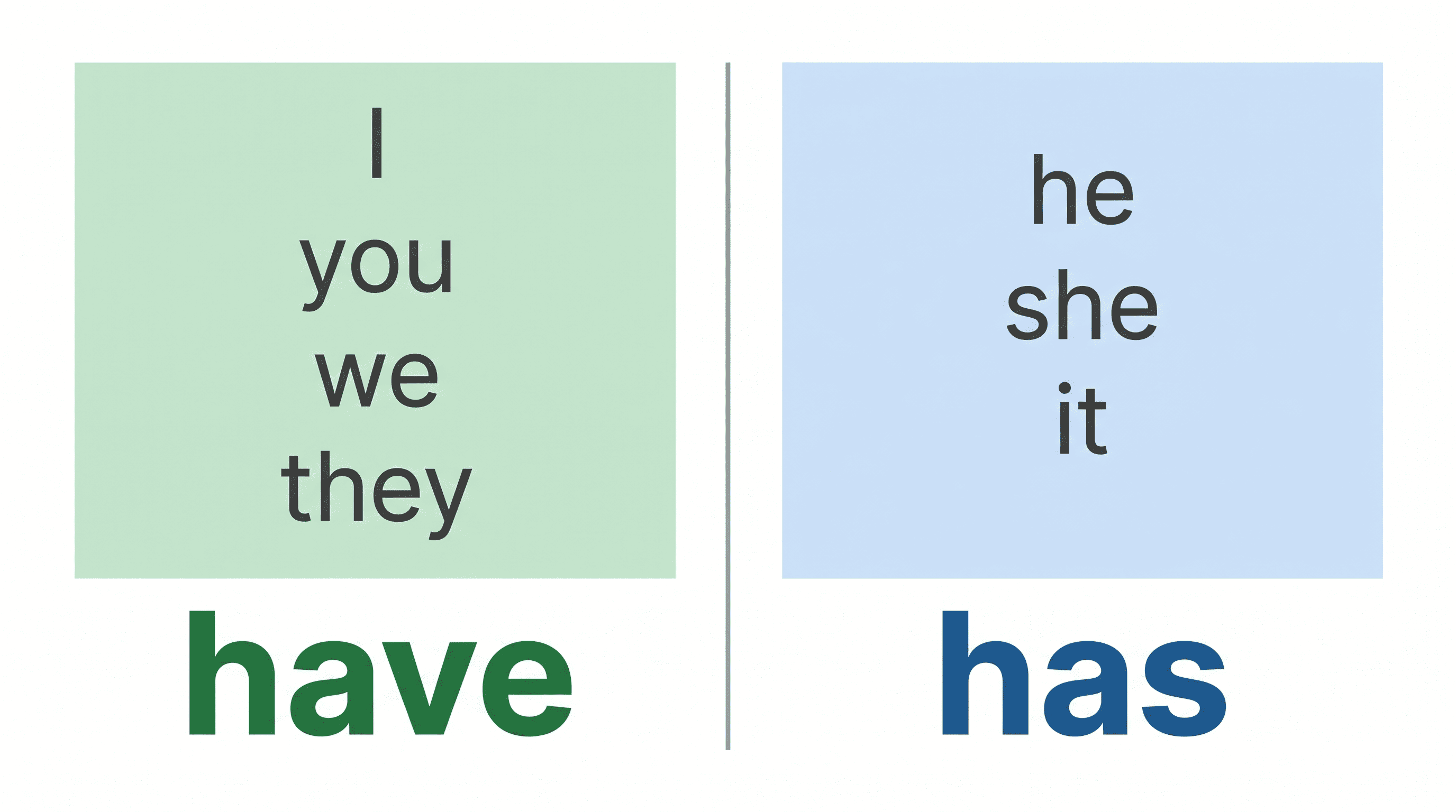 Diagram showing which pronouns use "have" and which use "has": I, you, we, they use "have"; he, she, it use "has"