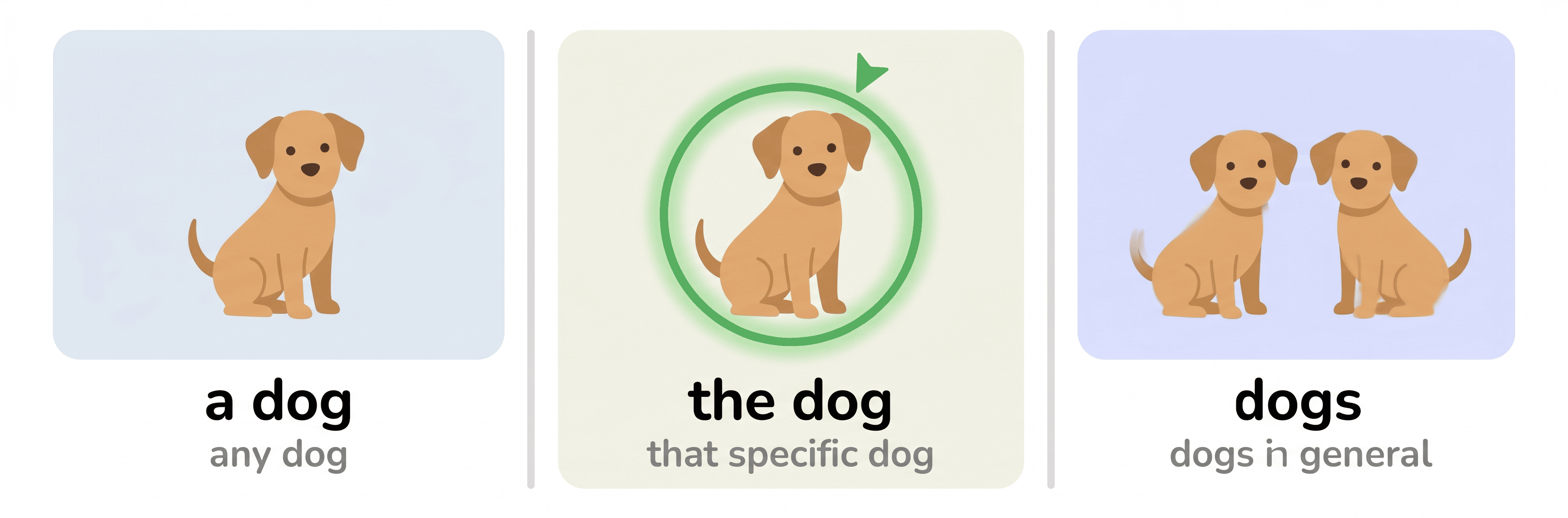 Three-panel diagram illustrating English articles. Panel 1: a single cartoon dog labelled 'a dog — any dog'. Panel 2: the same dog with a green highlight ring, labelled 'the dog — that specific dog'. Panel 3: two dogs side by side, labelled 'dogs — dogs in general'.