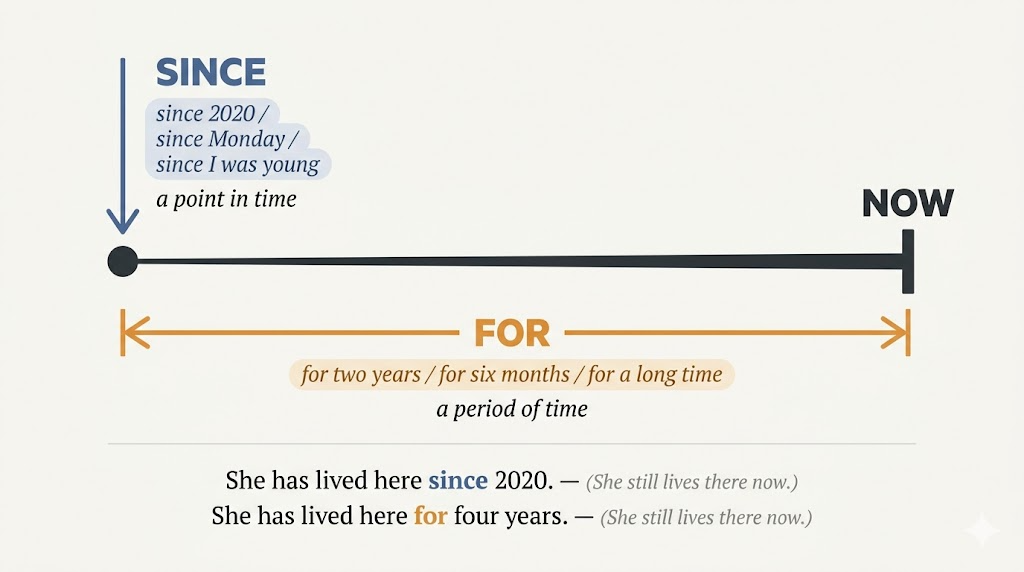Timeline diagram showing the difference between for and since in English: since marks a fixed point in the past, for measures the duration from that point to now.