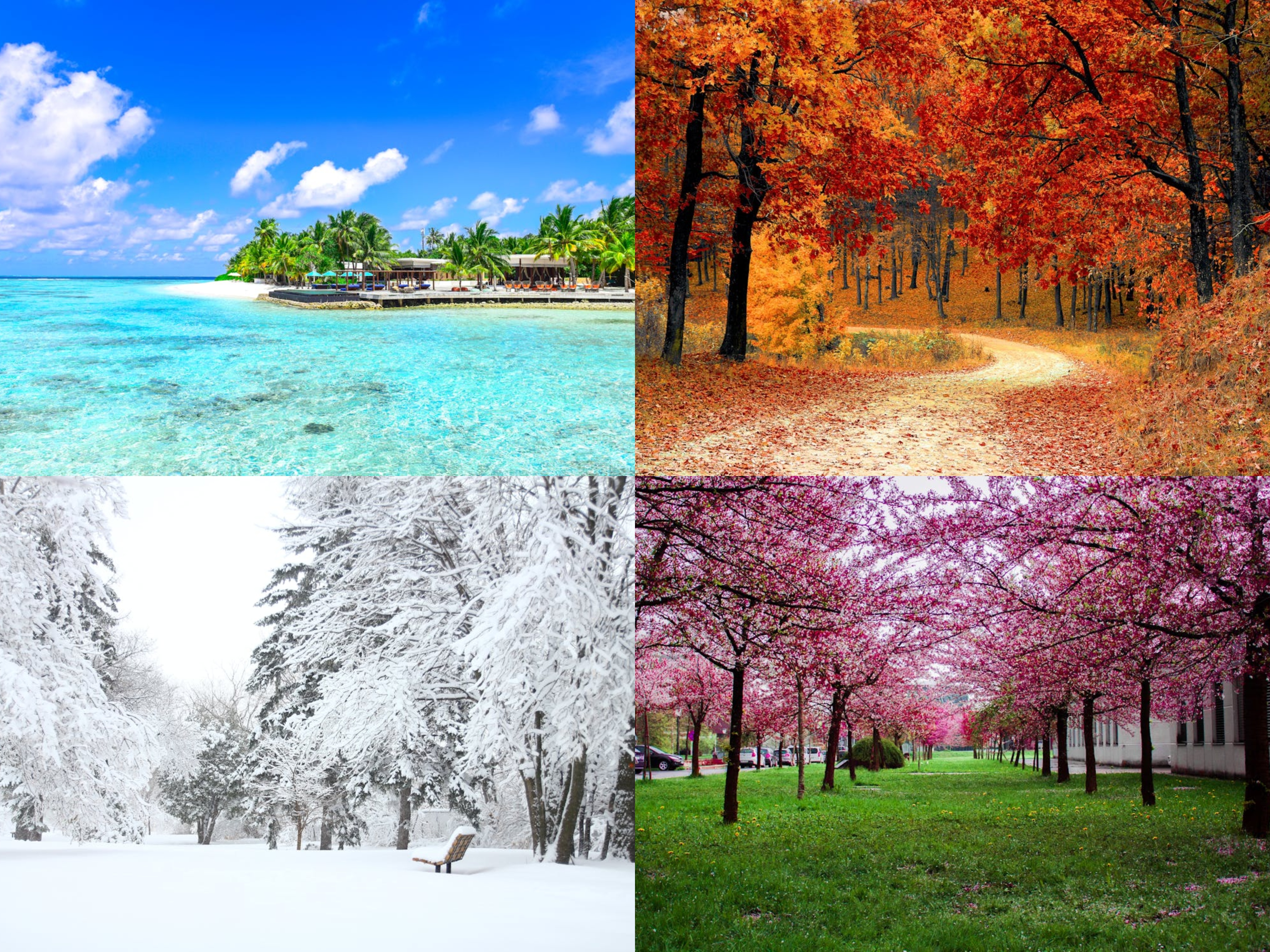 Days, Months, and Seasons – A1 Vocabulary Exercises